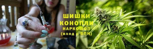 гашик Магас
