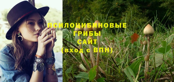 ГАЛЛЮЦИНОГЕННЫЕ ГРИБЫ Ветлуга