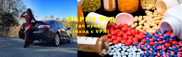 ГАЛЛЮЦИНОГЕННЫЕ ГРИБЫ Ветлуга