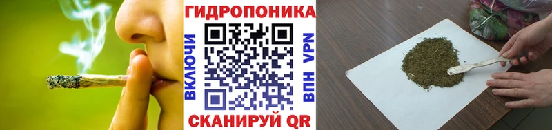 omg зеркало  продажа наркотиков  Новопавловск  МАРИХУАНА семена 